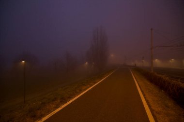 Sisli bir günde tren raylarının yanındaki parkta yol.