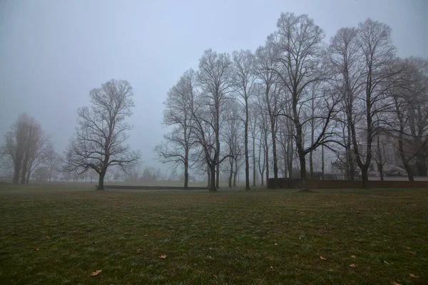 Espace Ouvert Dans Parc Italie Hiver Par Une Journée Brumeuse — Photo