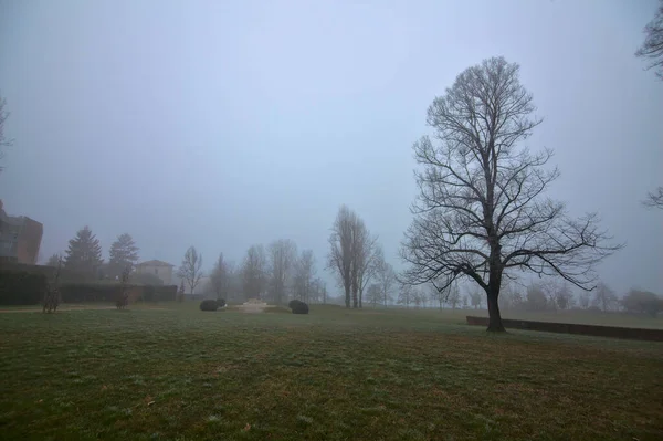 Espace Ouvert Dans Parc Italie Hiver Par Une Journée Brumeuse — Photo