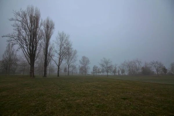 Открытое Пространство Парке Италии Зимой Туманный День — стоковое фото