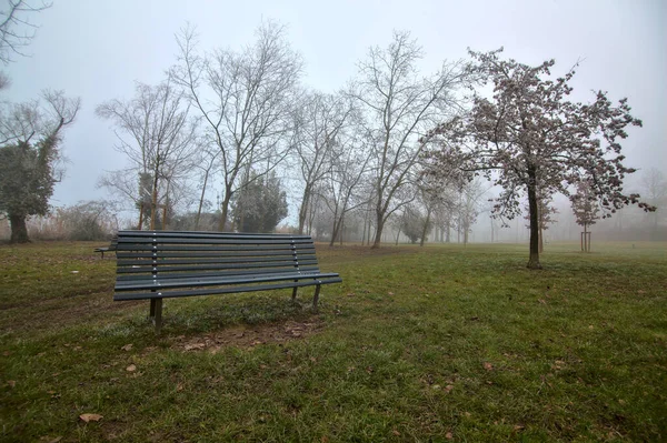 Panchina Parco Giorno Nebbioso Inverno — Foto Stock