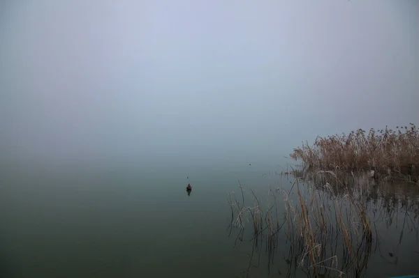 Rive Une Rivière Dans Parc Par Temps Brouillard Hiver — Photo