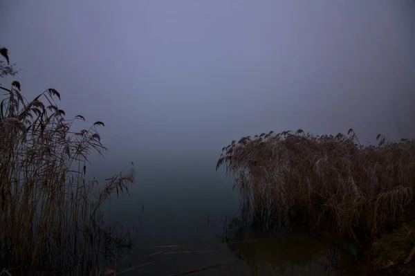 Orilla Río Parque Día Nublado Invierno — Foto de Stock