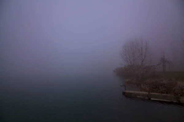 Rive Une Rivière Dans Parc Par Temps Brouillard Hiver — Photo