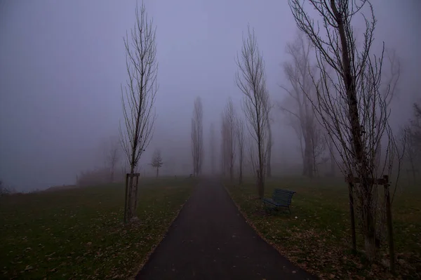 Camino Parque Día Niebla —  Fotos de Stock