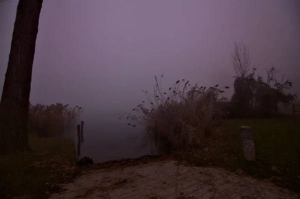 Shore River Park Foggy Day Winter — Stock Photo, Image