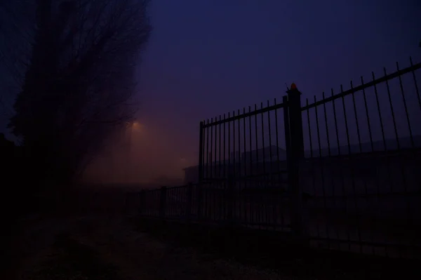 Cancello Una Giornata Nebbiosa Con Albero Nudo Sullo Sfondo — Foto Stock