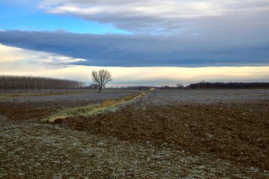 Kışın bulutlu bir günde, İtalya 'nın kırsal kesimlerinde sürülen tarlalar