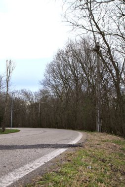 İtalya kırsalında kışın çıplak ağaçlarla kaplı bir parkın yanındaki yol.