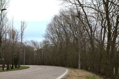 İtalya kırsalında kışın çıplak ağaçlarla kaplı bir parkın yanındaki yol.