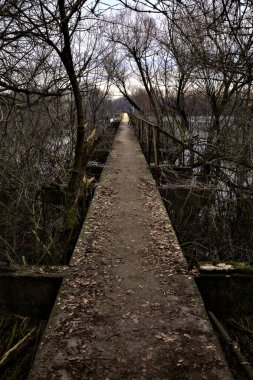 İtalya kırsalındaki bir nehre giden çıplak ağaçlarla dolu bir parkın üzerindeki beton köprü.