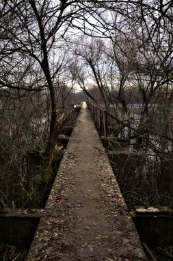 İtalya kırsalındaki bir nehre giden çıplak ağaçlarla dolu bir parkın üzerindeki beton köprü.