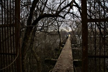 İtalya kırsalındaki bir nehre giden çıplak ağaçlarla dolu bir parkın üzerindeki beton köprü.