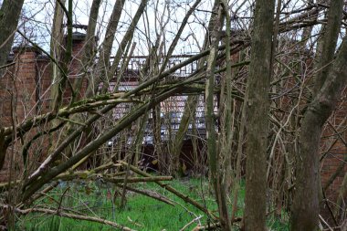 Metalik kapı kışın çıplak çalılarla engellenir