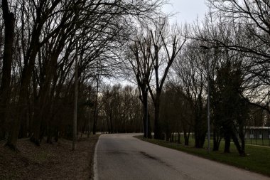 İtalya kırsalında kışın çıplak ağaçlarla kaplı bir parkın yanındaki yol.