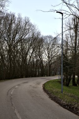 İtalya kırsalında kışın çıplak ağaçlarla kaplı bir parkın yanındaki yol.