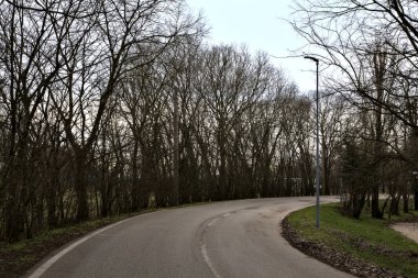 İtalya kırsalında kışın çıplak ağaçlarla kaplı bir parkın yanındaki yol.