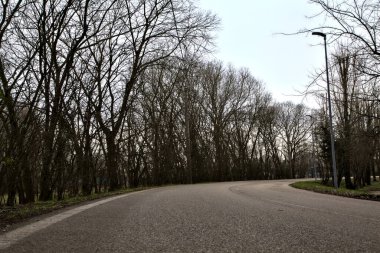 İtalya kırsalında kışın çıplak ağaçlarla kaplı bir parkın yanındaki yol.