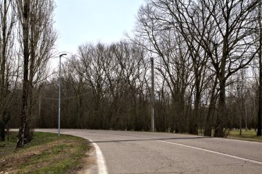 İtalya kırsalında kışın çıplak ağaçlarla kaplı bir parkın yanındaki yol.