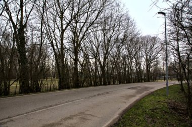 İtalya kırsalında kışın çıplak ağaçlarla kaplı bir parkın yanındaki yol.