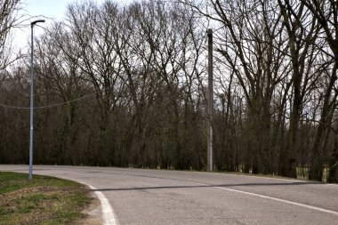 İtalya kırsalında kışın çıplak ağaçlarla kaplı bir parkın yanındaki yol.