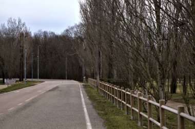 İtalya kırsalında kışın çıplak ağaçlarla kaplı bir parkın yanındaki yol.