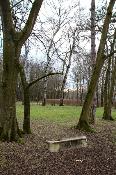 Banco Piedra Bajo Árbol Parque —  Fotos de Stock