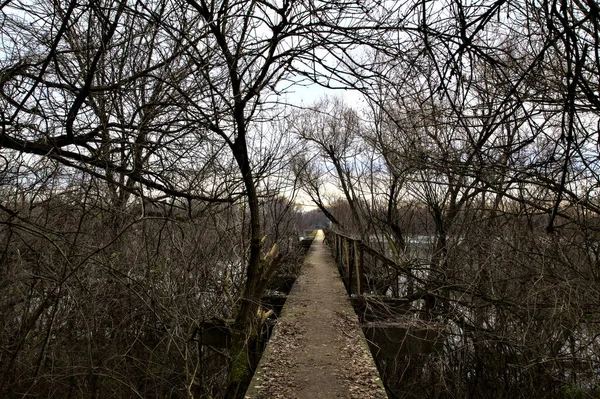 意大利乡间一座没有树木的公园上的混凝土人行桥通向一条河 — 图库照片