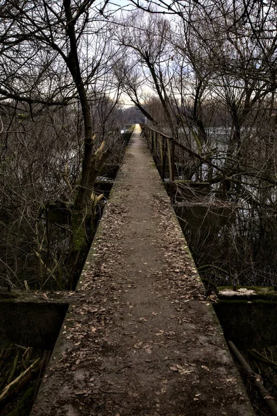 İtalya kırsalındaki bir nehre giden çıplak ağaçlarla dolu bir parkın üzerindeki beton köprü.