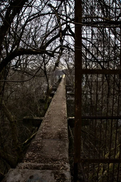 İtalya kırsalındaki bir nehre giden çıplak ağaçlarla dolu bir parkın üzerindeki beton köprü.