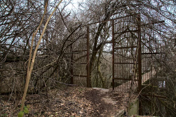 Betonnen Voetgangersbrug Een Park Met Kale Bomen Die Leidt Naar — Stockfoto
