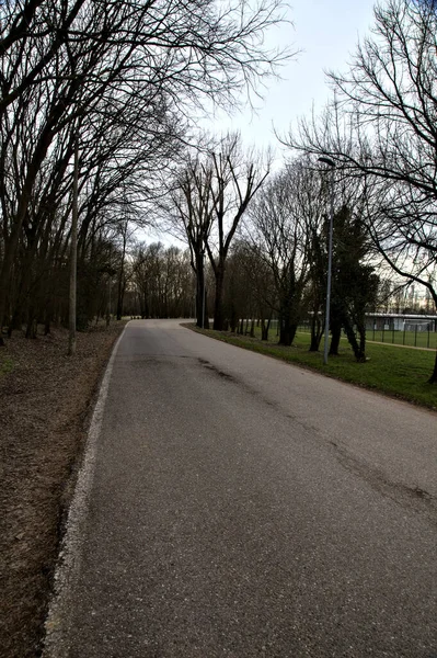 Route Côté Parc Avec Des Arbres Nus Dans Campagne Italienne — Photo