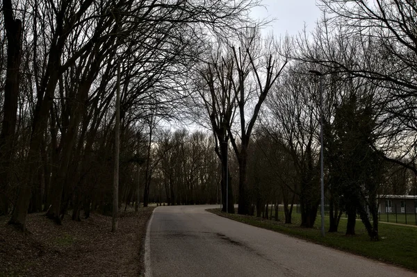 İtalya kırsalında kışın çıplak ağaçlarla kaplı bir parkın yanındaki yol.