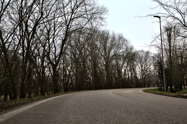 İtalya kırsalında kışın çıplak ağaçlarla kaplı bir parkın yanındaki yol.