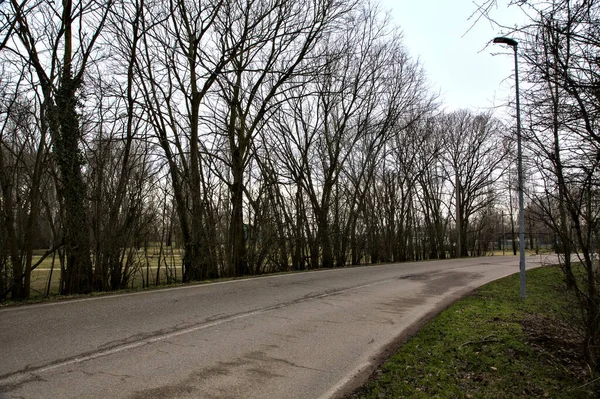 İtalya kırsalında kışın çıplak ağaçlarla kaplı bir parkın yanındaki yol.