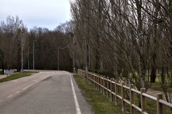 İtalya kırsalında kışın çıplak ağaçlarla kaplı bir parkın yanındaki yol.