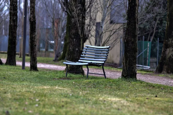 Prázdná Dřevěná Lavička Parku Vedle Stezky — Stock fotografie