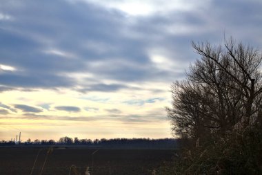 İtalya 'nın kırsalında kışın ekilmiş tarlalar.