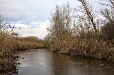 Su deresinin yanında bir patika ve kışın İtalya kırsalında sazlıklarla dolu bir bataklık.