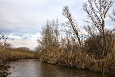 Su deresinin yanında bir patika ve kışın İtalya kırsalında sazlıklarla dolu bir bataklık.