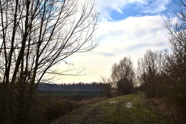 Ścieżka Obok Zaoranego Pola Parku Włoskiej Wsi Zimie — Zdjęcie stockowe