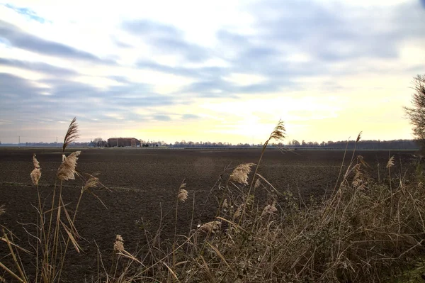 Gepflügtes Feld Der Italienischen Landschaft Winter — Stockfoto