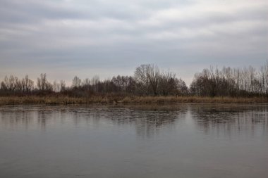 Kışın İtalya kırsalındaki bir parkın yanındaki bataklıkta sazlıklarla dolu bir bataklık.