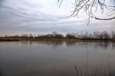 Kışın İtalya kırsalındaki bir parkın yanındaki bataklıkta sazlıklarla dolu bir bataklık.