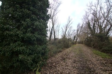 İtalya kırsalında kışın çıplak ağaçlarla dolu bir parkta toprak yol.