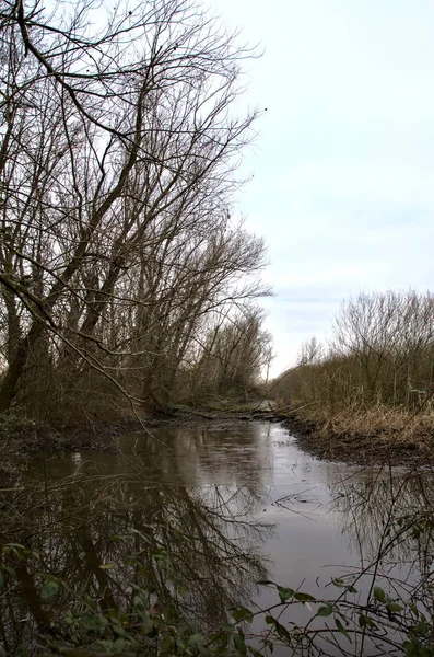 Stream Water Marsh Next Field Reeds Park Bare Trees Italian — Stock Photo, Image