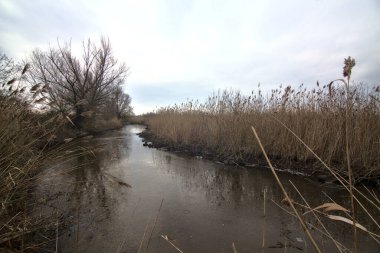 Su deresinin yanında bir patika ve kışın İtalya kırsalında sazlıklarla dolu bir bataklık.