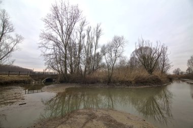 İtalya 'nın kışın kırsalında çıplak ağaçlarla çevrili bir tarlanın yanındaki su akıntısı.