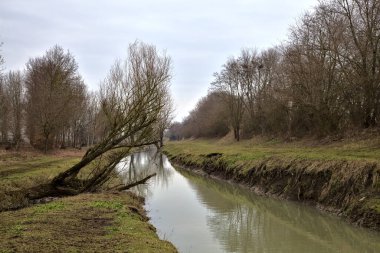 İtalya 'nın kışın kırsalında çıplak ağaçlarla çevrili bir tarlanın yanındaki su akıntısı.