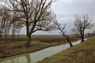 İtalya 'nın kışın kırsalında çıplak ağaçlarla çevrili bir tarlanın yanındaki su akıntısı.
